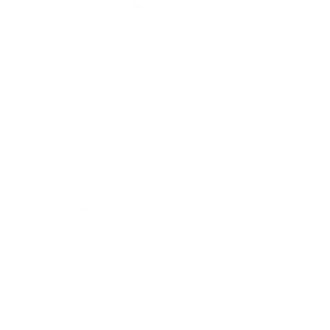 User Account Icon
